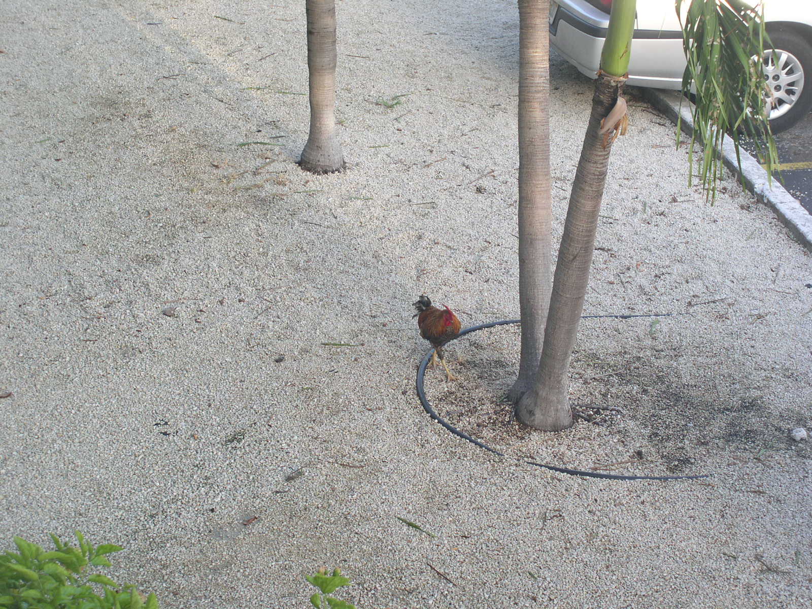 photo1